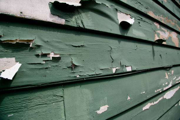 Best Siding Painting and Refinishing  in San Mateo, CA