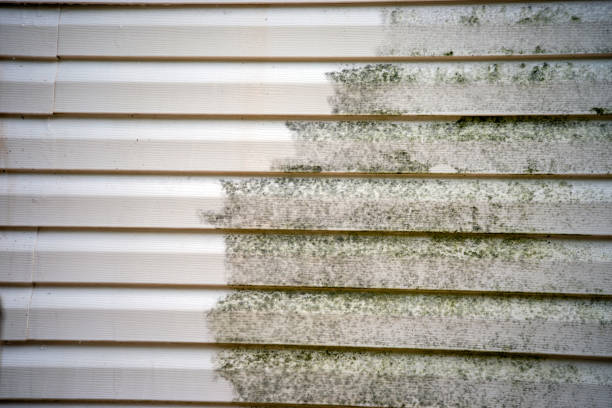 Best Siding Removal and Disposal  in San Mateo, CA